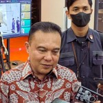 Sufmi Dasco Ahmad-1675236220