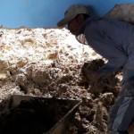 Tanah longsor-1675242421