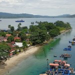 Wilayah mangrove Teluk Ambon yang mulai berkurang (ANTARA/Dedy Azis)-1675671300