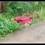 Mutilasi dalam koper-1679041657