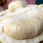 Durian-1696066323