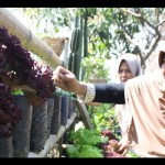 Harum Madu-1696077641