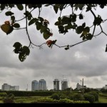 Monas-1694657326