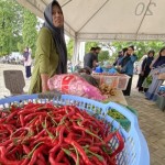 Pasar Tani-1695786649