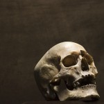 Tengkorak-1694501053