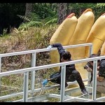 Bidlabfor-1698663232