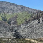 Bukit Teletubbies-1696323886