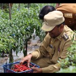 lhokseumawe-1698220011