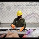 Taman safari-1697286587