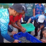 Udang Vaname-1697289076