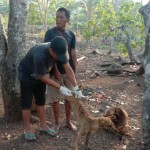 Vaksinasi-1697446089