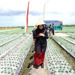 banyuwangi-1700486713