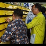 Budidaya kepiting-1699685912