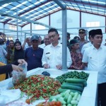 Edi Rusdi Kamtono-1700633989