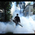 Fogging-1700036801