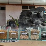 Pertamina-1700235956