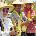 pertanian-1700214419