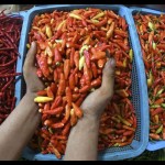 cabai rawit-1702994338