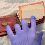 Dompet-1703909912