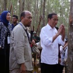 Presiden RI Joko Widodo-1703147519