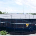 SPAM Kali Dendeng-1701915339