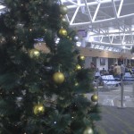 Bandara EI Tari-1704349233