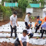 Jakpus tanam 10 ribu bibit cabai untuk stabilkan harga saat Ramadhan-1705655914