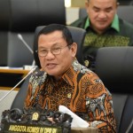 Hanan A. Rozak-1710332516