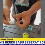 sabu-1744876607