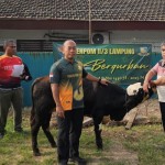 lampung-1749308027