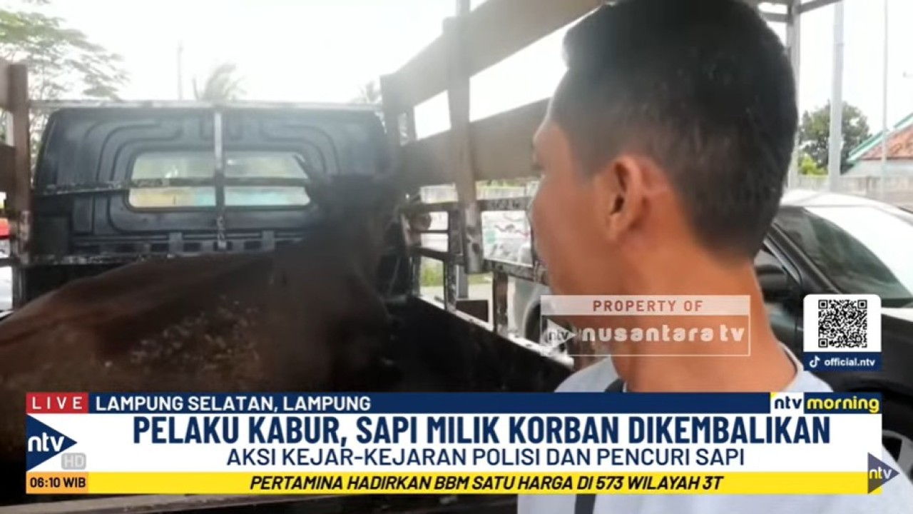 Aksi pencurian sapi terjadi di Dusun Jati Baru, Desa Kedaton, Kecamatan Kalianda, Lampung Selatan, Lampung.