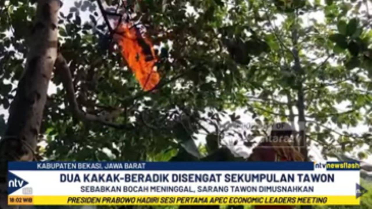 Petugas damkar Kabupaten Bekasi membakar sarang tawon vespa