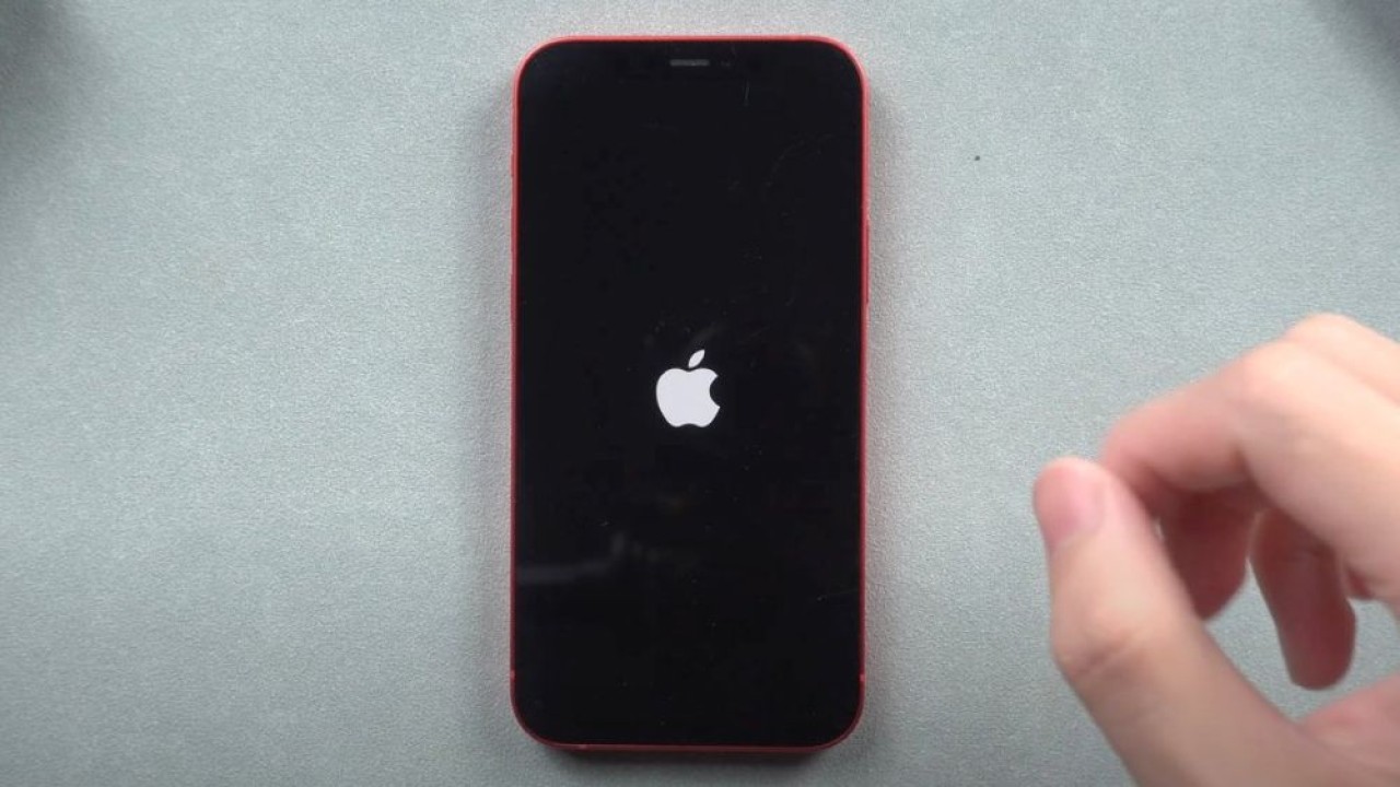 Logo Apple di iPhone. (Foto: Tenorshare via Apple Insider)