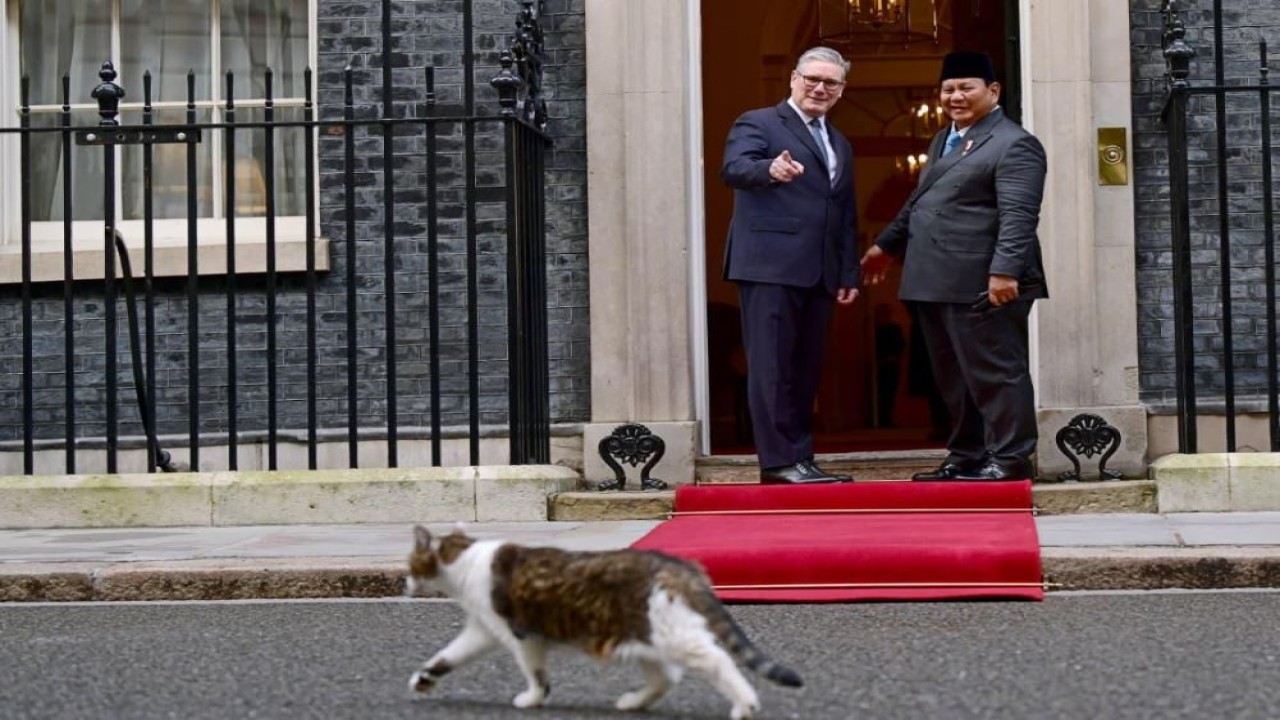 Prabowo dan PM Inggris tersenyum melihat aksi Larry the Cat, kucing ikonik penghuni tetap kantor Perdana Menteri Inggris di 10 Downing Street/ist