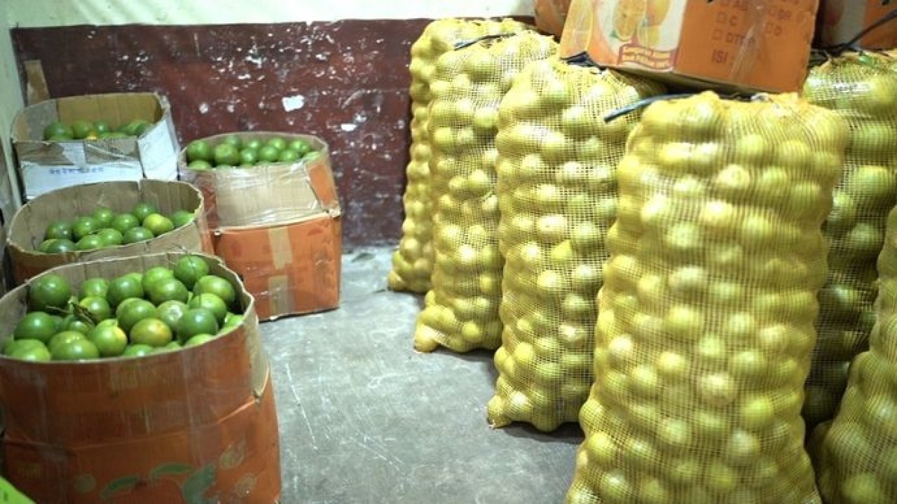 Omzet pedagang jeruk di Solo melonjak berkat program MBG dari Prabowo Subianto. Penjualan yang sebelumnya 6–7 kuintal per hari kini tembus 10 kuintal. Program ini tak hanya bantu pemenuhan gizi, tapi juga dorong kesejahteraan UMKM. (Istimewa)