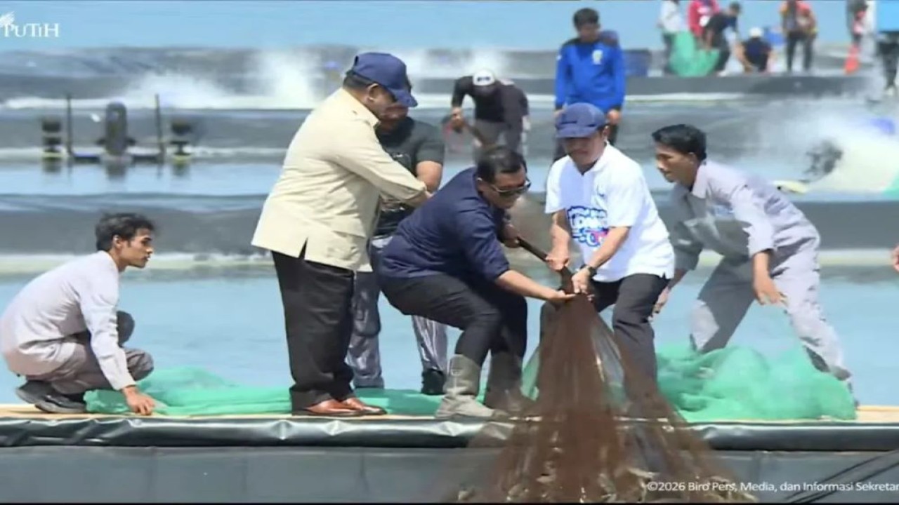 Presisen menarik jaring dari proses panen raya udang di Tambak Budidaya Udang Berbasis Kawasan (BUBK) Kebumen, Desa Tegal Retno, Kecamatan Petanahan, Kabupaten Kebumen, Jawa Tengah, Sabtu (23/5/2026). (ANTARA/HO-YouTube Sekretariat Presiden)