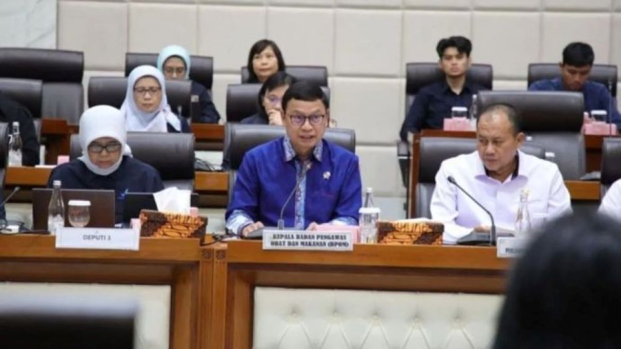 Kepala Badan Pengawas Obat dan Makanan (BPOM) Indonesia, Taruna Ikrar. (Antara)