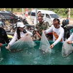 trans-1782792866